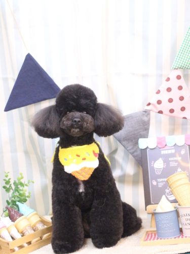 20250501コアくん